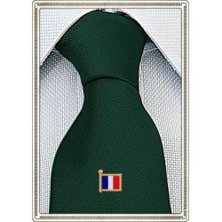 Cravatta con bandiera francese ricamata